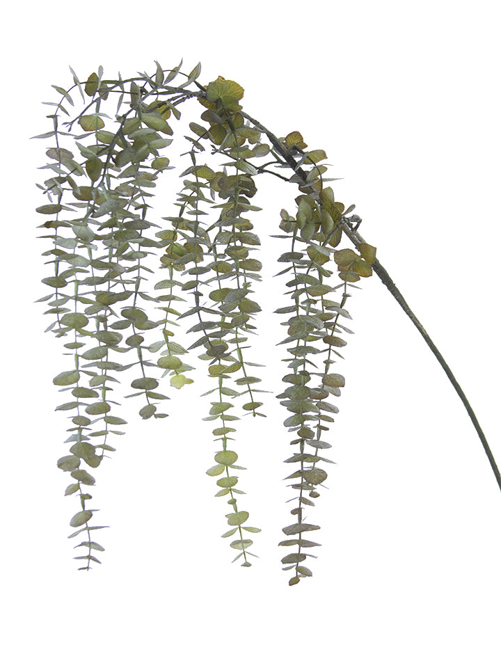 48" Hanging Eucalyptus Spray-Green Burgundy