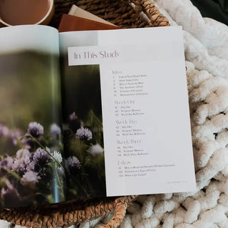 Path To Purpose Bible Study