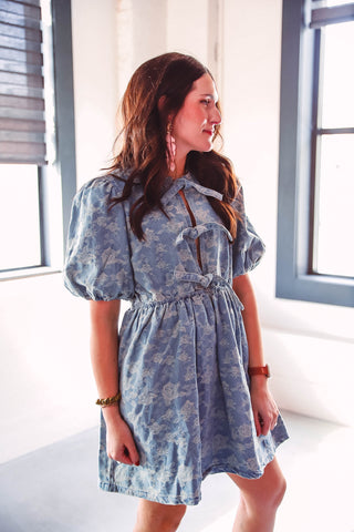 Vivien Denim Mini Dress