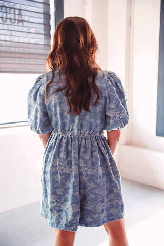 Vivien Denim Mini Dress