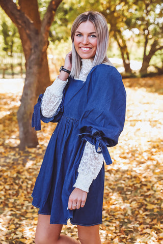 Cheyenne Denim Mini Dress