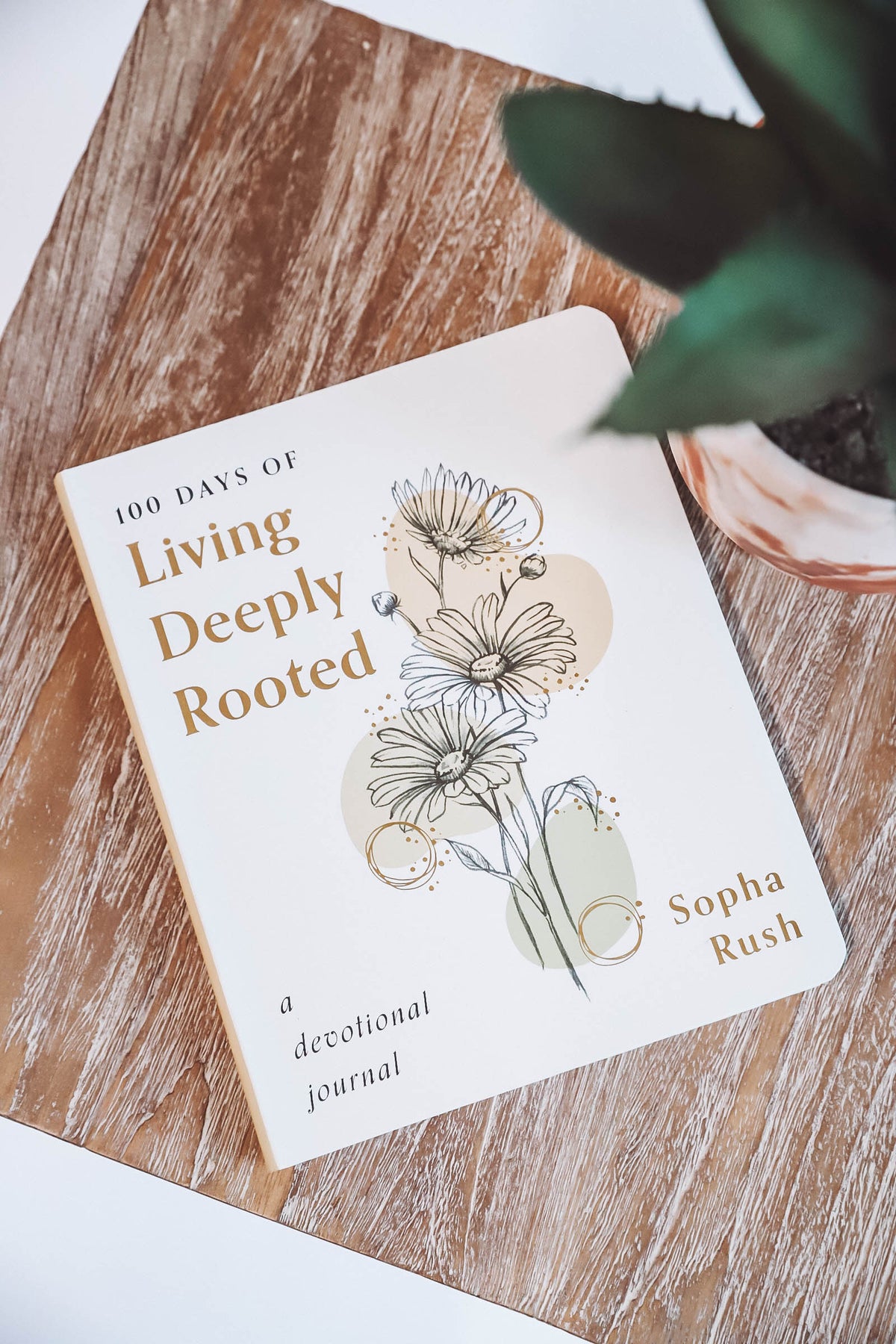 100 Days of Living Deeply Rooted-Devotional Journal