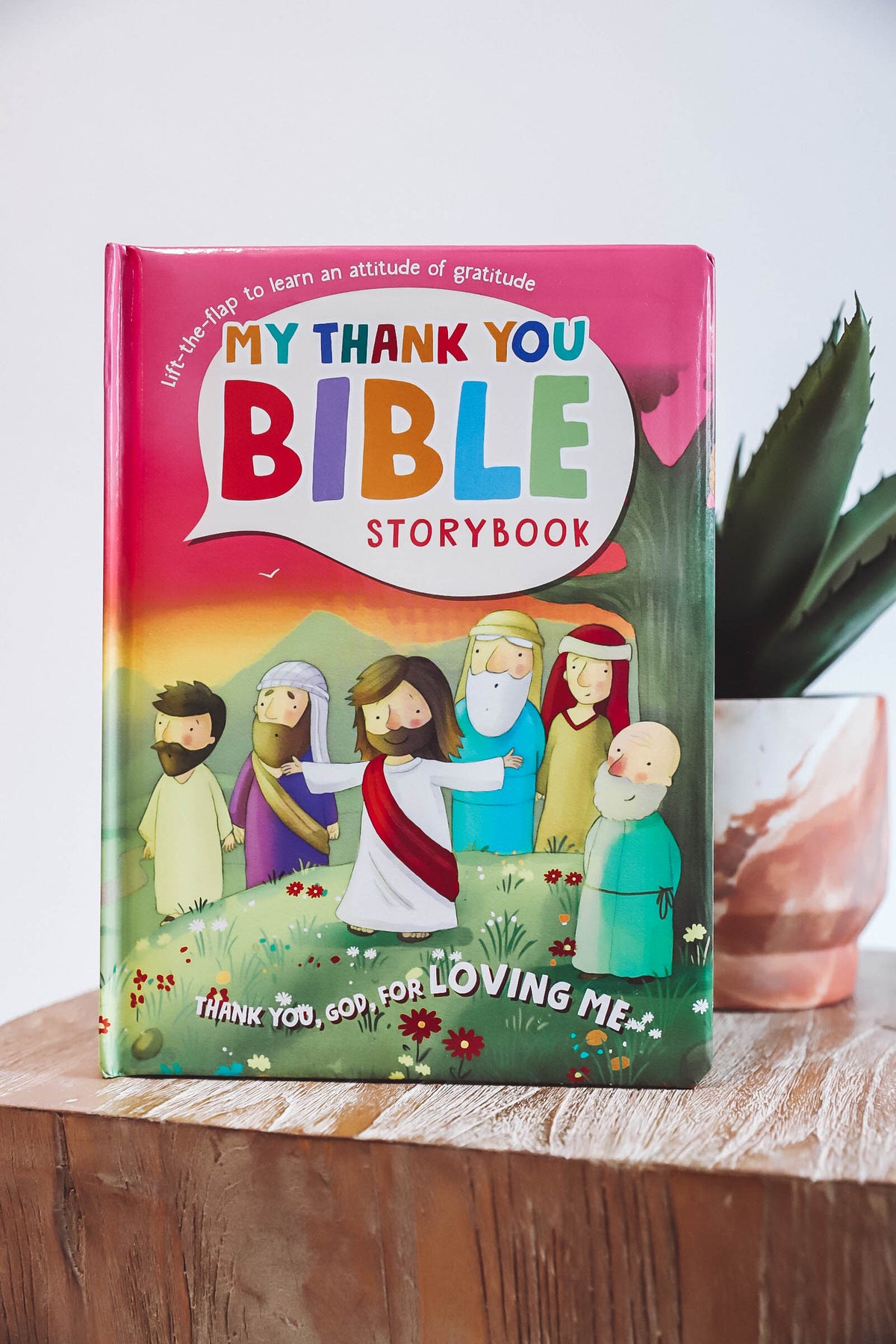 My Thank You Bible Storybook