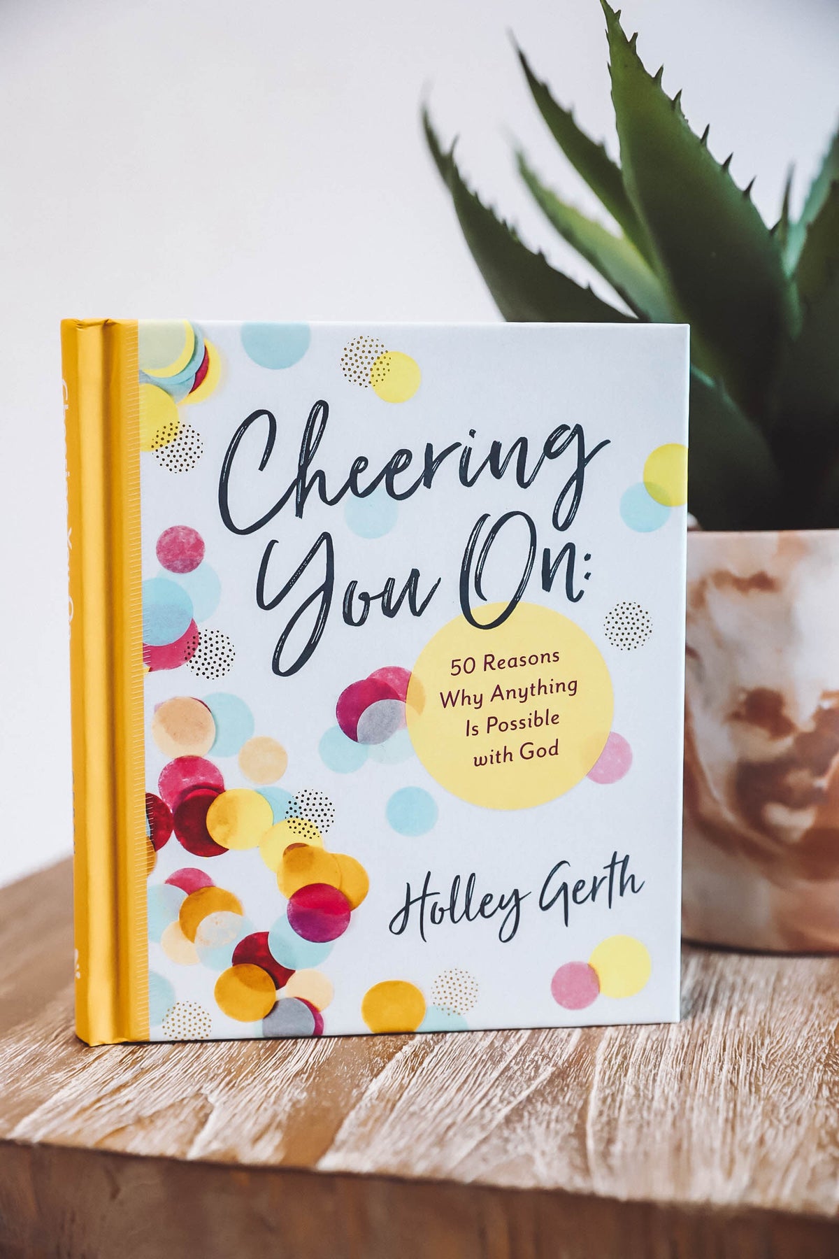 Cheering You On: 50 Reasons Book-Holly Gerth