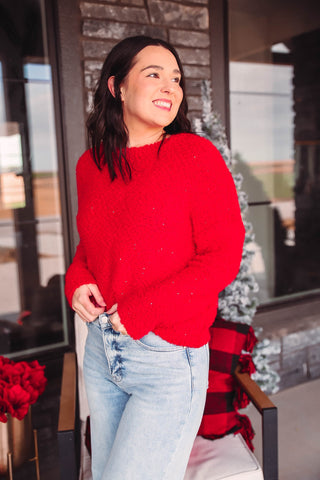 Dani Sequin Sweater-Red