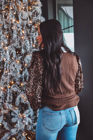 Winter Wonderland Sequin Top-Brown