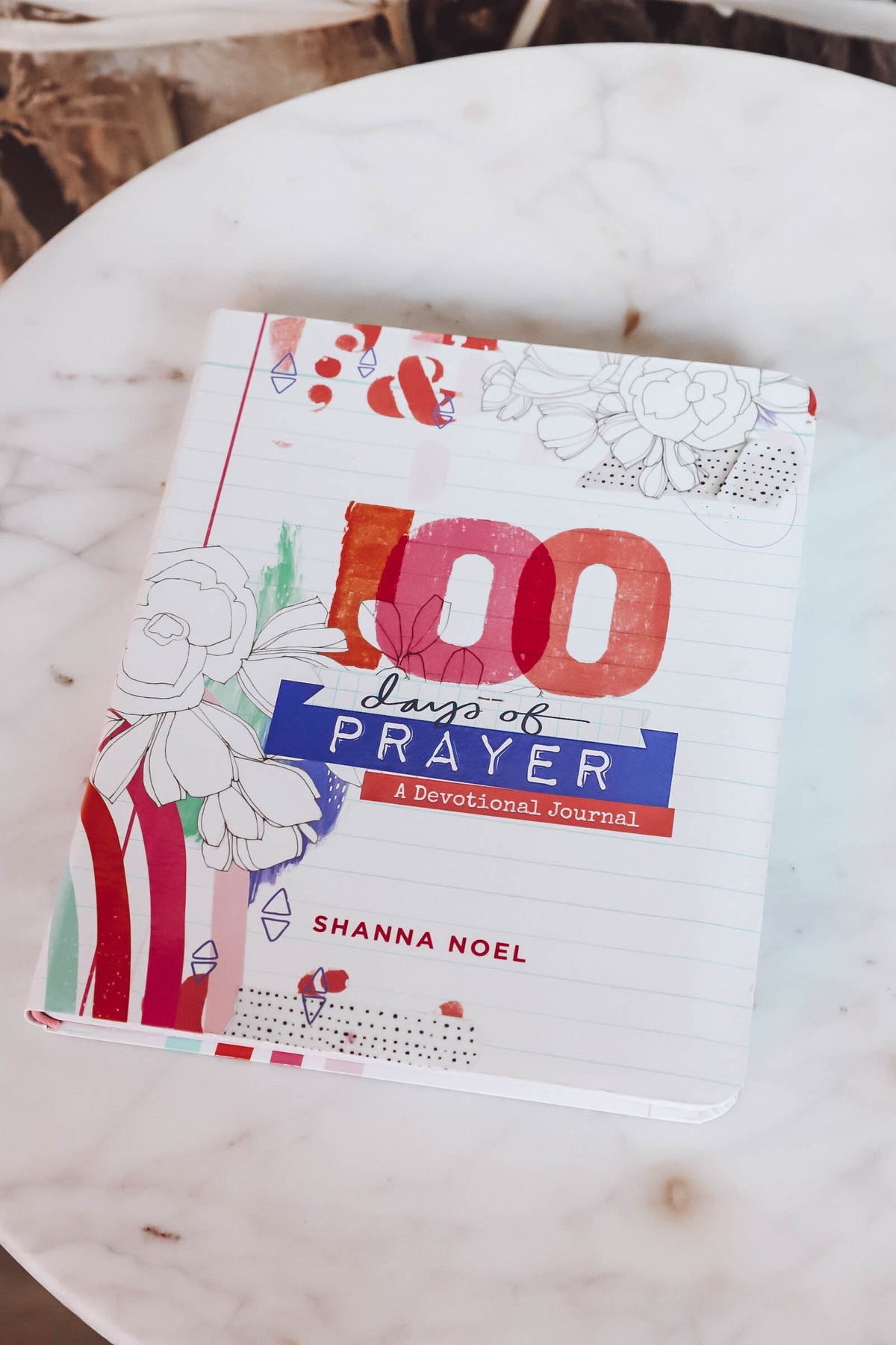 100 Days of Prayer-Devotional Journal-Shanna Noel