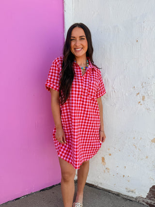 Easy Days Gingham Mini Dress