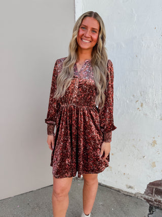Jayde Velvet Mini Dress-Brown