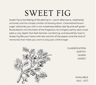 Flicker + Flame Car Diffuser-Sweet Fig