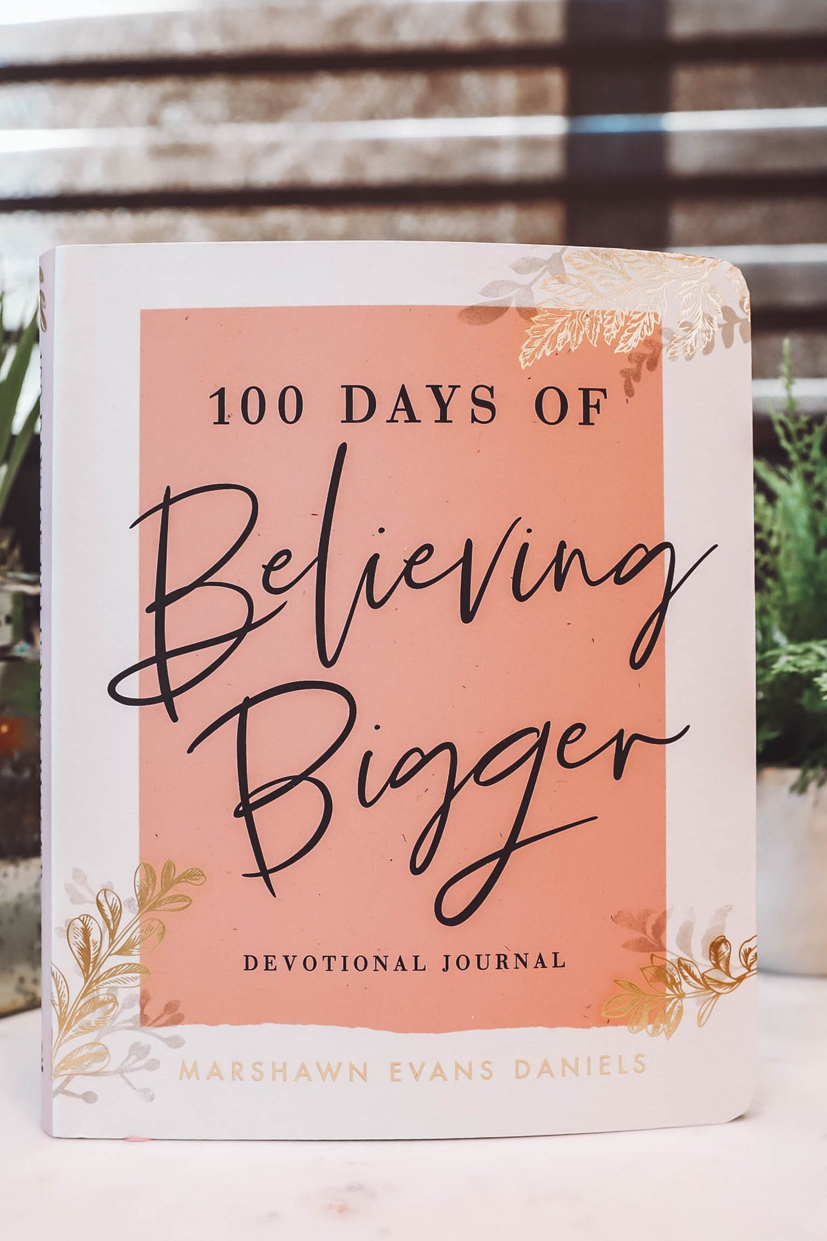 100 Days of Believing Bigger-Devotional Journal-Marshawn Evans Daniels